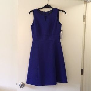NWT Purple Tahari Dress - Size 4